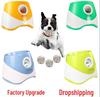 Automatic Dog Ball Launcher for Border Collies - Tennis Ball Throwing and Bouncing Toy