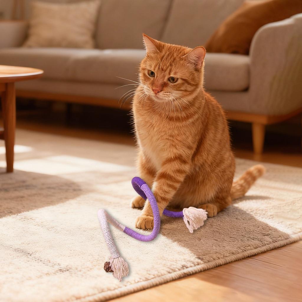 Cats Biting Rope Cats Teaser Cats Toy Self-Entertainment And Boredom-Relieving Item Teething And -Resistant Mint Stick Toy