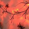 Scary Atmosphere Halloween Ghost Festival Lighting Bat Twig Lights  Spooky Decorations