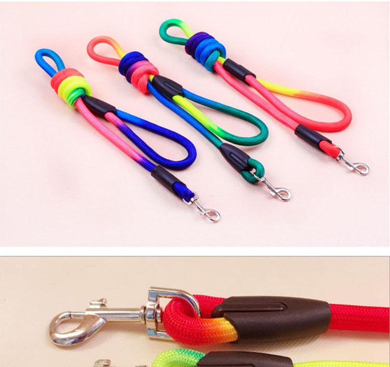 New Small dog outdoor training with a new type of solid dog leash pet with nylon cat chain traction Chihuahua accessories