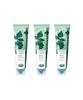 Plus White Pro 100g 3 Packs