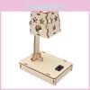 Educational And Creative Setm Science Toy For Kids To Assemble Wood Material