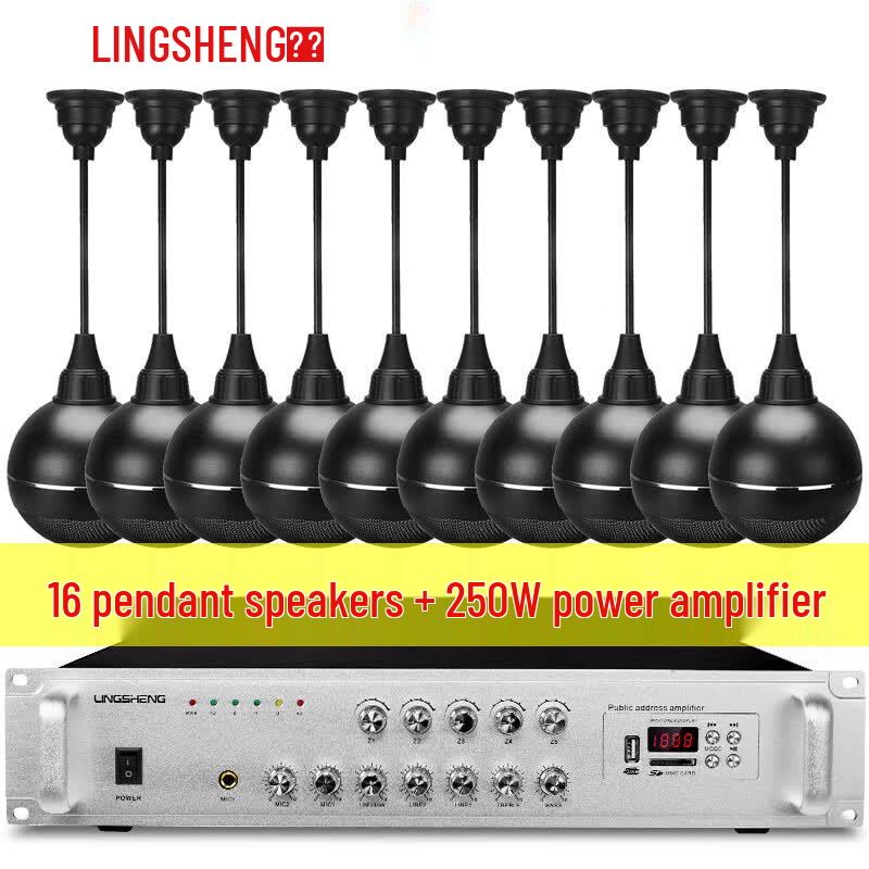Lingsheng 250W Commercial Ceiling & Pendant Speaker System (CN version)