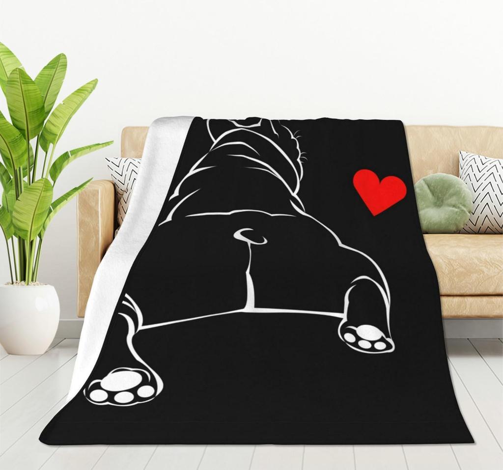 Retro Vintage Vinyl Record Flannel Fleece Throw Blanket Lightweight Cozy Plush for Bedroom Living Room Sofa Couch  X Inch