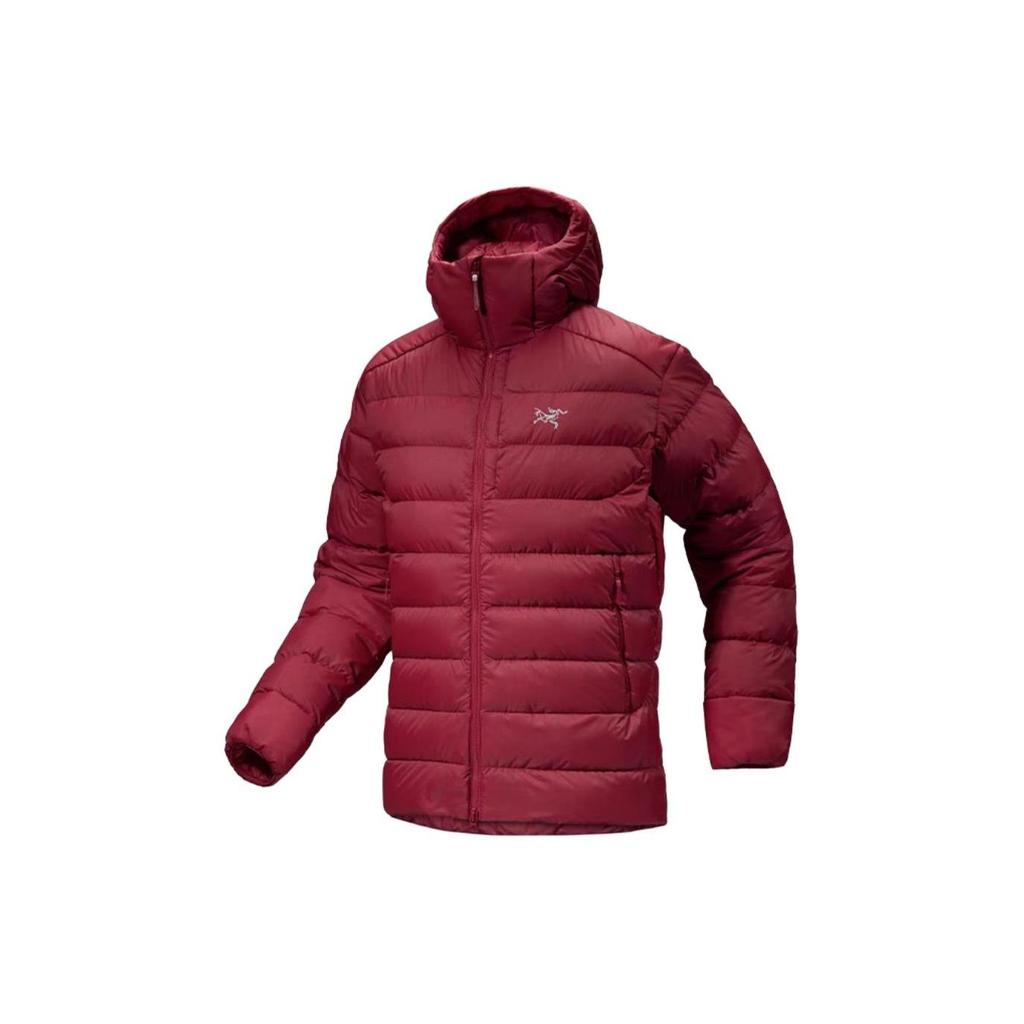 Куртка-худи Arc'teryx Thorium X000007380-