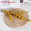 Ilex Simulation Chinensis Berries Fortune Fruit Ginkgo Flower Artificial