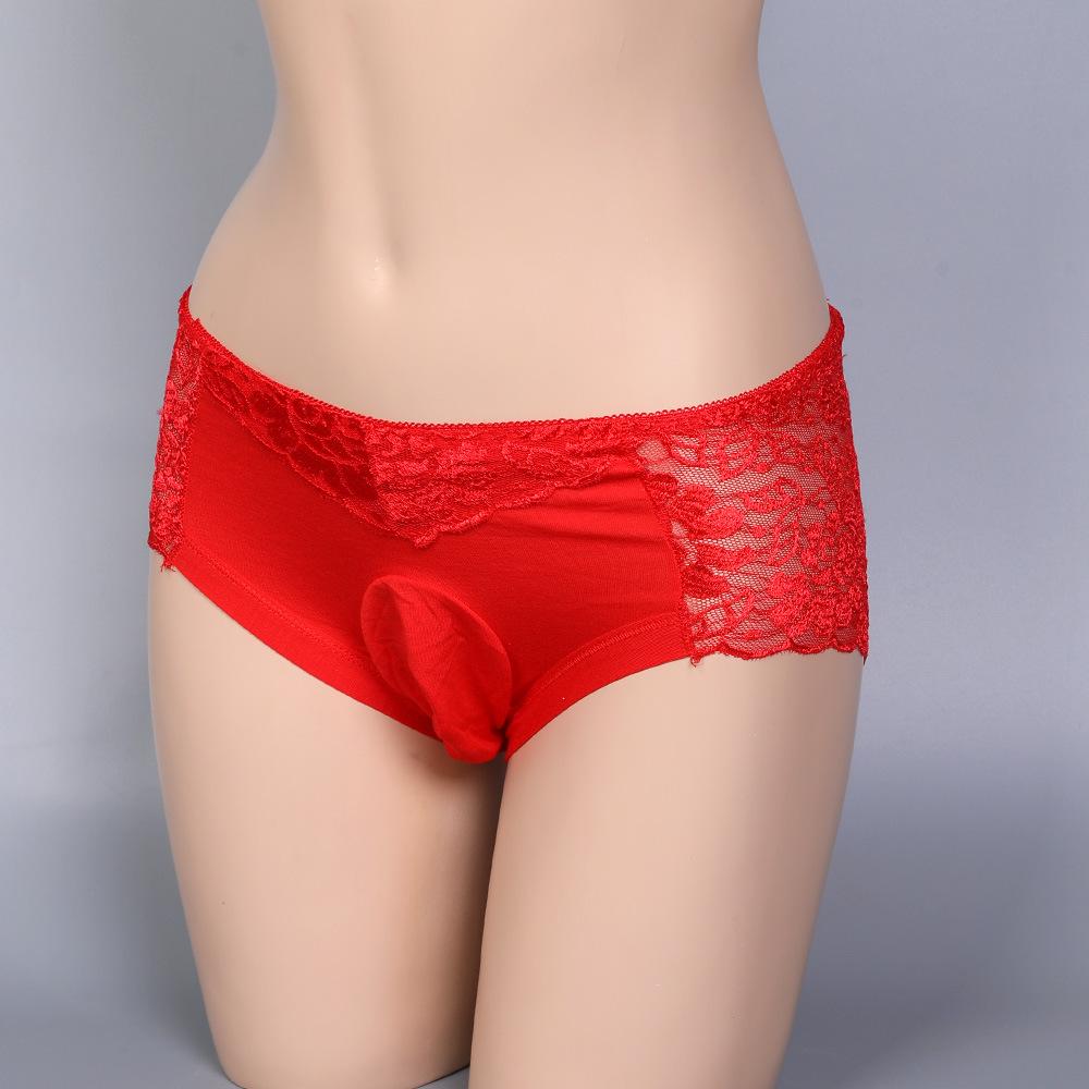 3XL Large Size Sissy Pouch Panties Mens Physiology Underwear Sexy Lace Soft Comfortble U Convex Briefs Feminization Gay Lingerie