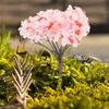 Yardwe Diorama Cherry Blossom Trees, 12 Pieces, for Dioramas, Miniatures, DIY Miniature Nature, Mini Trees, Sandbox Tables, Architectural Models,