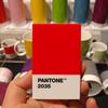 New Pantone Card Case (Red 2035)
