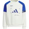 Kids Sweatshirts Crew Neck Moderate KB5128