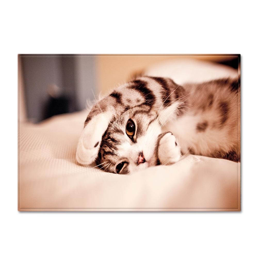 Animal Carpet Feather Wind Bedroom Floor Mat