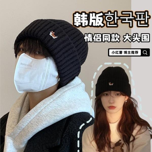 Trendy versatile autumn and winter ear protection puppy hat men's and women's hats knitted wool cold hat embroidery to keep warm