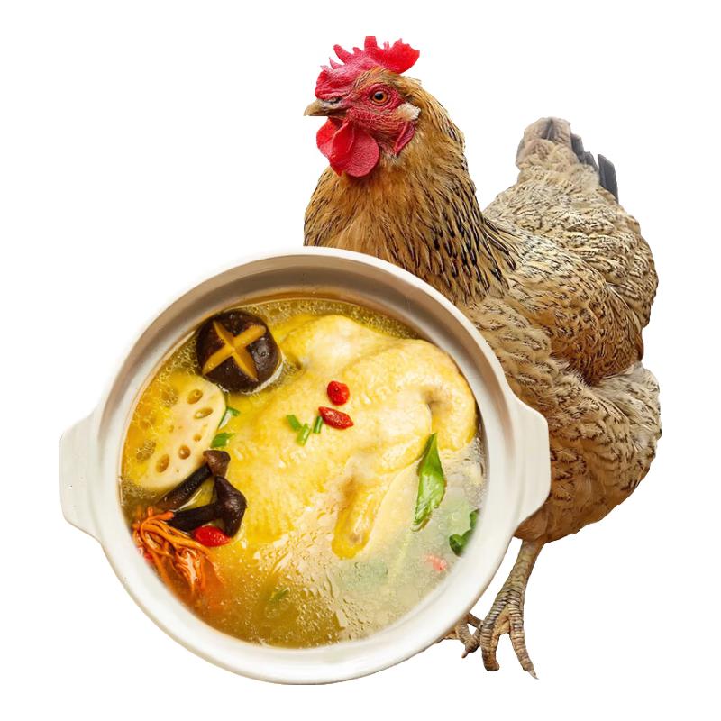 Premium 500-Day Raised Frozen Old Hen for Soup