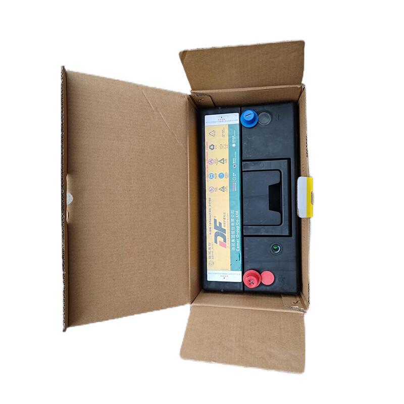 CAMEL 12V 100Ah Maintenance-Free Starter Battery