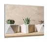 GLASS PROTECTIVE PLATE FOR STOVE 60x52 CACTUS
