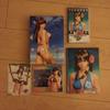 [USED] DEAD OR ALIVE Paradise Limited Edition PSP