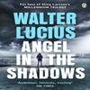 Angel In the Shadows by Walter Lucius Paperback Book 9781405921435