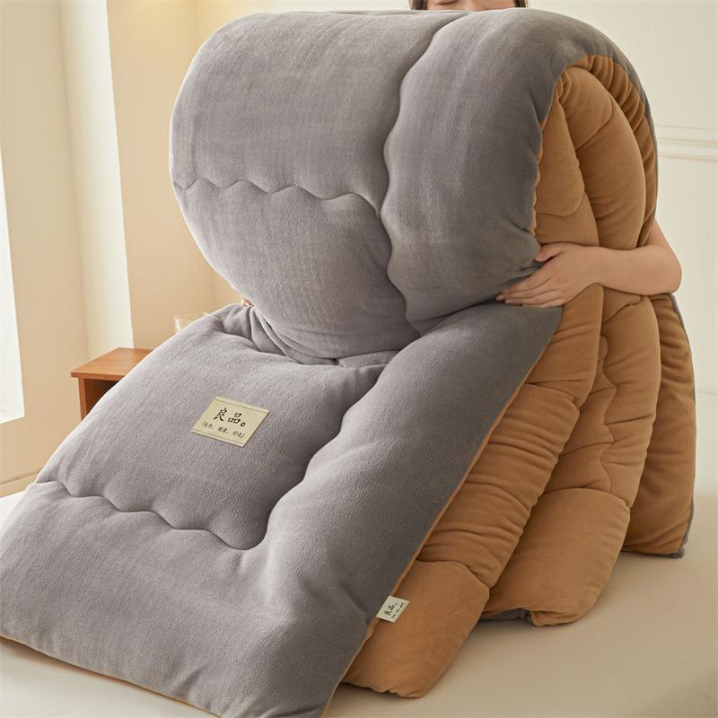 Thickened Milk Velvet Winter Warm Blanket for Bed Queen Size Soft Flannel Quilt Double-Sided Plush Single Double Thick Comforter