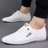 Men's Doudou Shoes Spring New White Leather Shoes Business Casual Trend Korean Version Soft Sole Soft Surface Driving Shoes