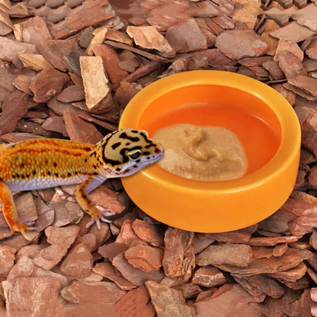 Reptile Food Bowl Mini Ceramic Water Feeder Bowl, Reptile Worm Feeding Dish for Lizard for Turtle Bearded Dragon