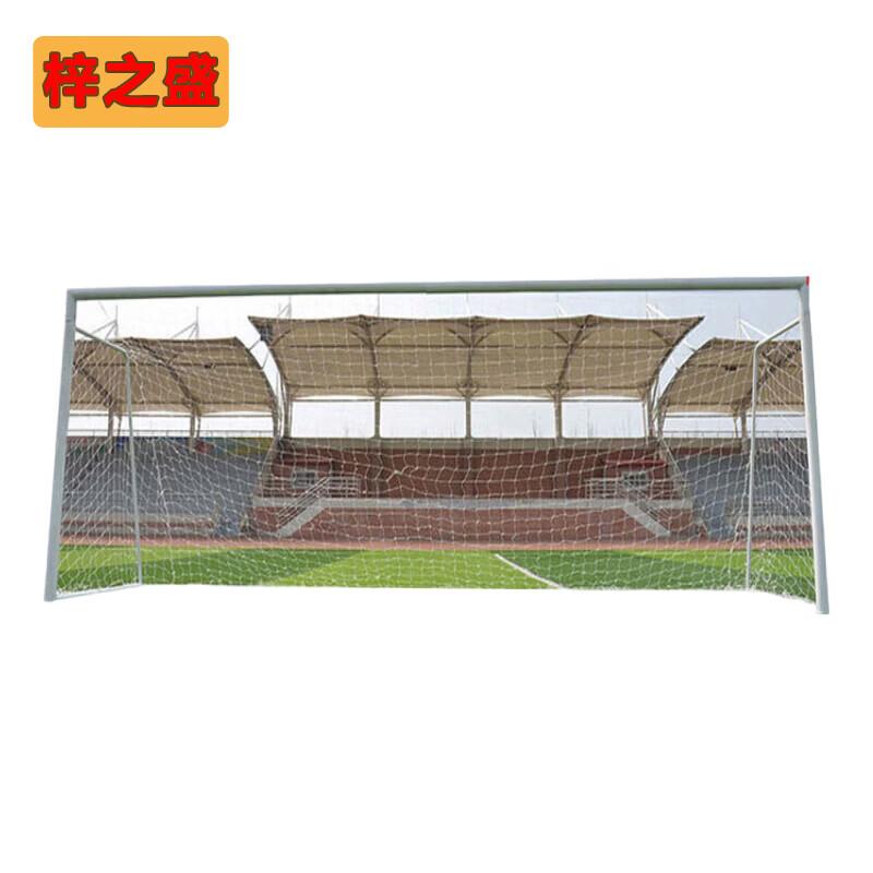 Zizhisheng Standard Soccer Goal