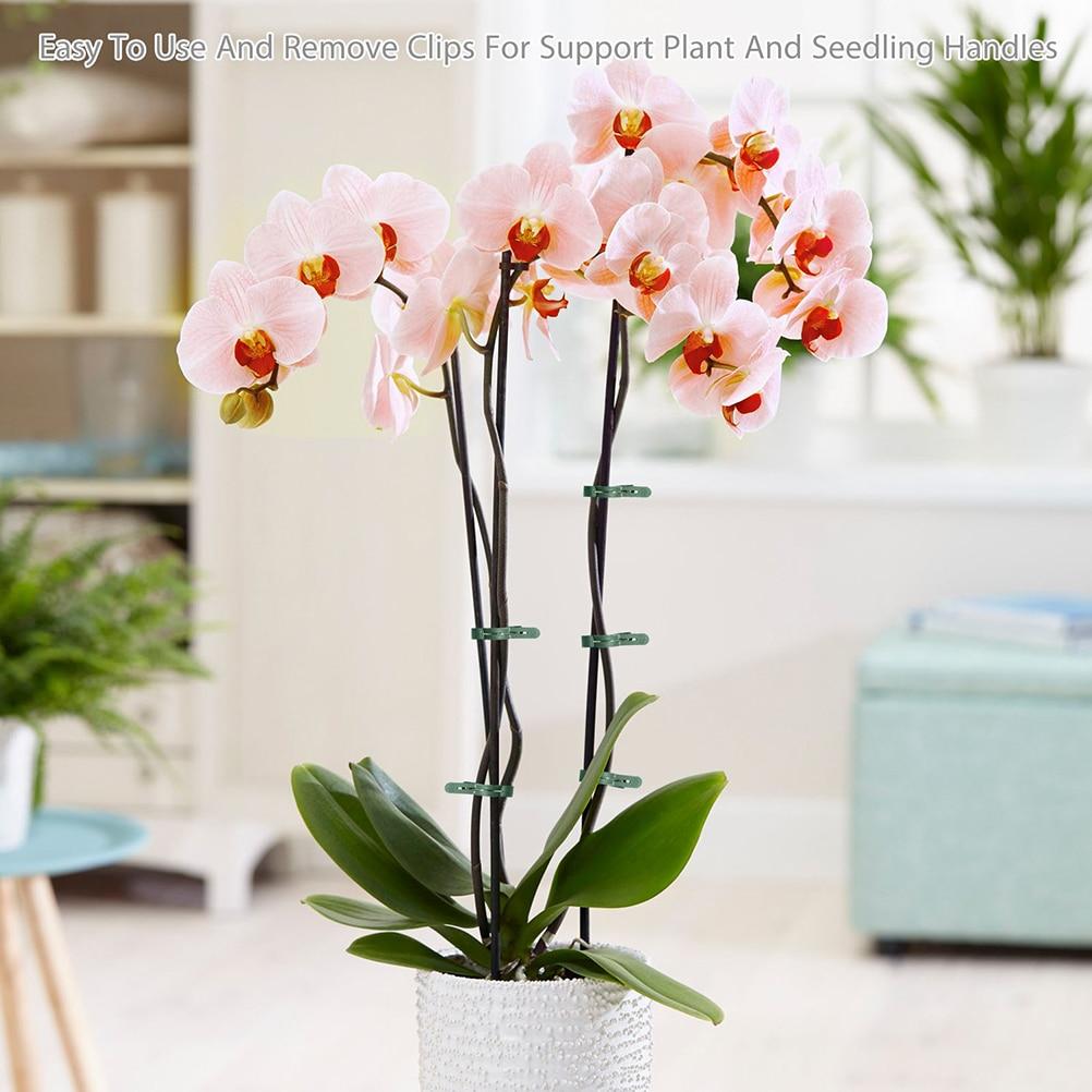 20pcs Reusable Plastic Plant Support Clips Clamps for Plants Hanging Vine Garden Greenhouse Vegetables Tomatoes Clips