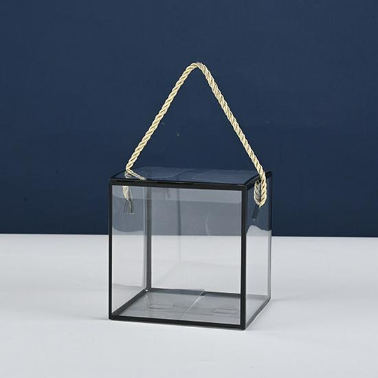 

Clear PVC Plastic Display Box for Toys, Action Figures, Baking, and Small Pets