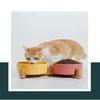Ceramic Bowl Cat Dog Bowl Cat Food Bowl Cat Bowl Drinking Water Bowl Double Bowl Protection Cervical Spine Bowl Black Pet Bowl