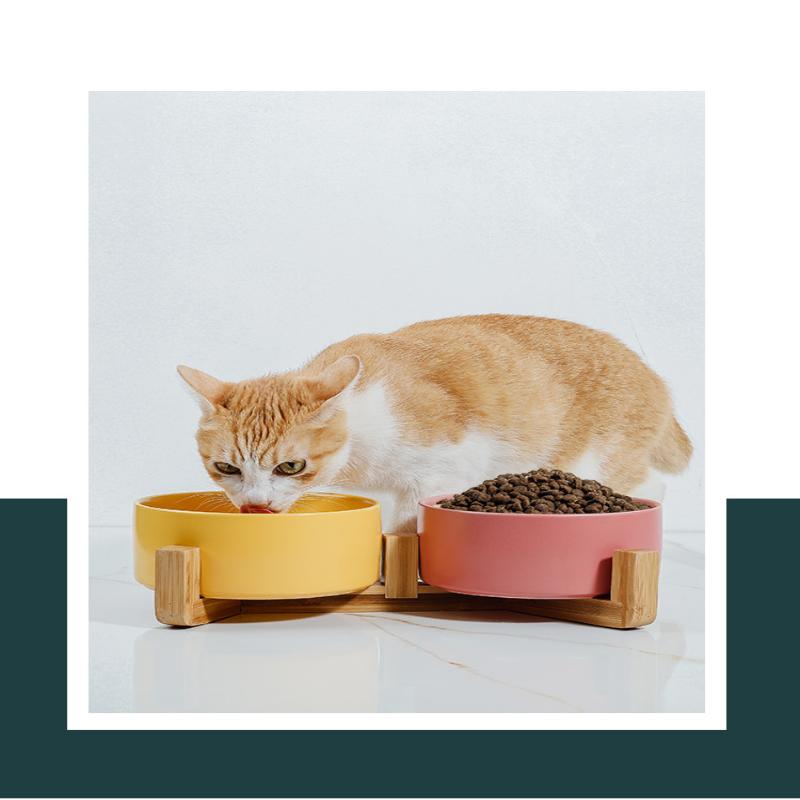 Ceramic Bowl Cat Dog Bowl Cat Food Bowl Cat Bowl Drinking Water Bowl Double Bowl Protection Cervical Spine Bowl Black Pet Bowl