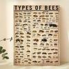1pc Canvas Poster, Types Of Bees Poster, Types Of Insects Poster, Bee Illustration Poster, Bee Knowledge Poster Wall Art For Liv