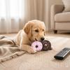 10pcs Latex Squeaky Dog Toy Multi Colors Donut Dog Toy Bite Tough Latex Dog Toy Indoor Play