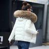 Women's Plus Size Short Down Cotton Jacket with Big Fur Collar