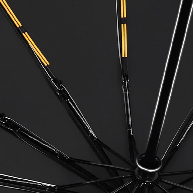 Tri-polar 24-Rib Automatic All-Weather Umbrella