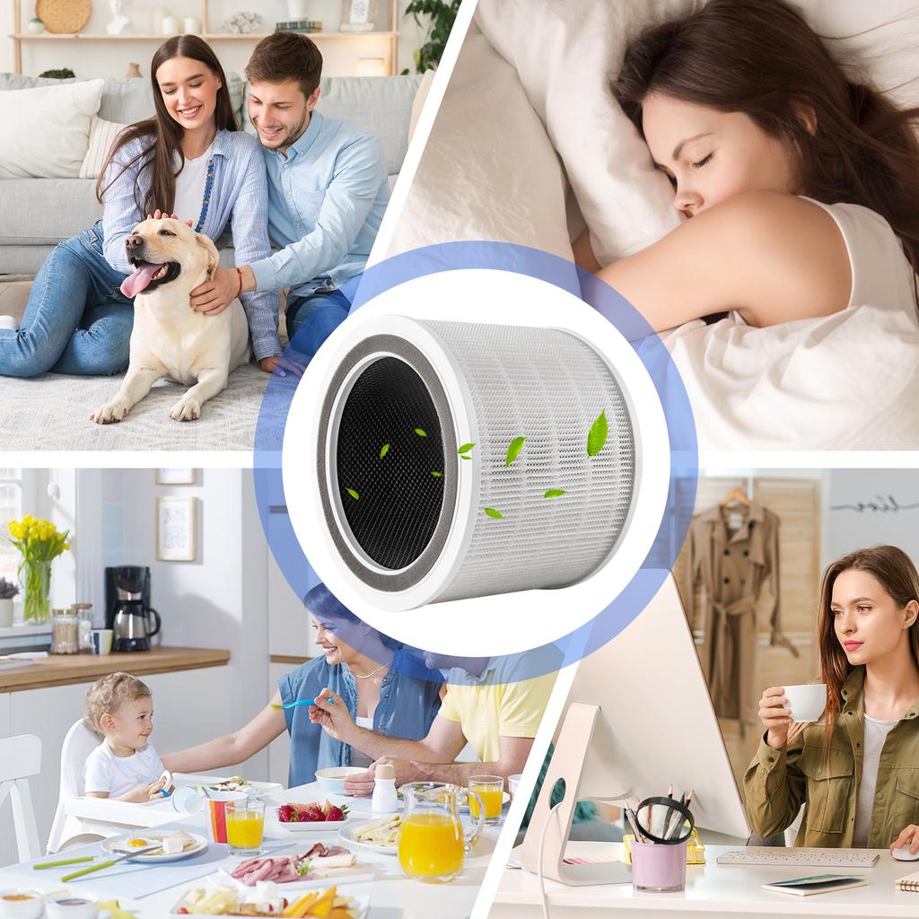 3-in-1 True HEPA H13 Replacement Filters Compatible with LEVOIT Core 200S Air Purifier, Core PM2.5  Air Purifier Filter