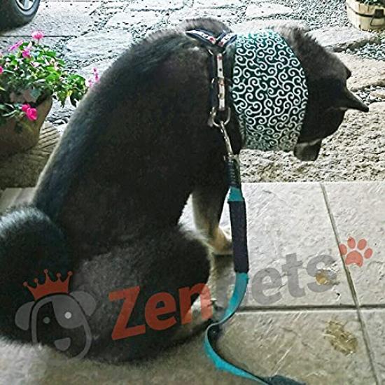 Zenpets Handana Dog Neck Cooler with Arabesque Includes Ice Made In Size L Pattern, Packs, Japan, (Red)
