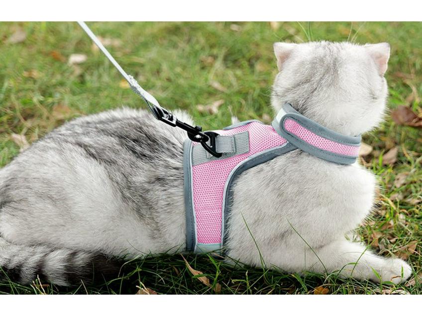 Vest-Style Cat and Dog Harness with Leash - Small Pet Walking Gear