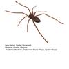 1/2Pcs Magnetic 3D Spider Decoration Scary Realistic Giant Spider Halloween Prank Props Garage Door Mailbox Locker Refrigerator Magnet Fake Spider