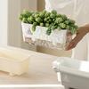 Maceta Transparente de Riego Automático para Plantas de Interior y Exterior Maceta de Plantación con Agujero de Drenaje Depósito Profundo Maceta para Hierbas y Flores con Cuerda de Mecha