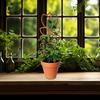 Tre Plantebrakett Bladform Espalier Klatreplante Støttestativ Enkel Installasjon Multifunksjonell Planteholder