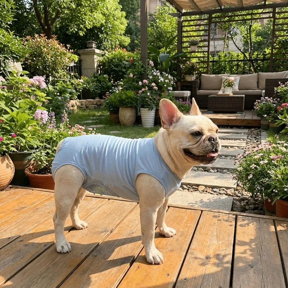 Breathable Pet Sterilization Suit Soft with Drainage Net Cat Recovery Suit Cat Vest Sleeveless Cat Weaning Suit Spayed/Neutered