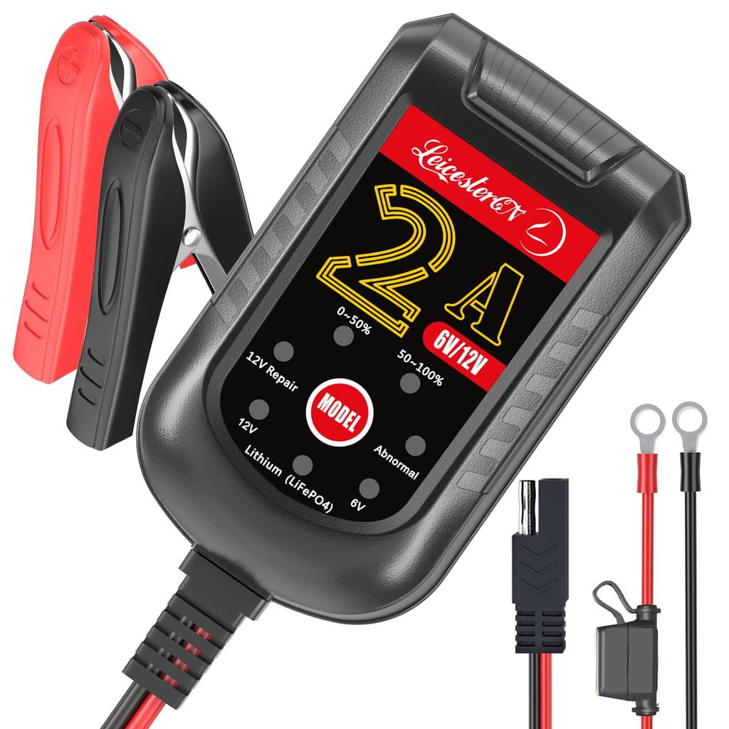 LeicesterCNL LST Charger for 6V and , Charger, Bad Identification, 72-Hour
