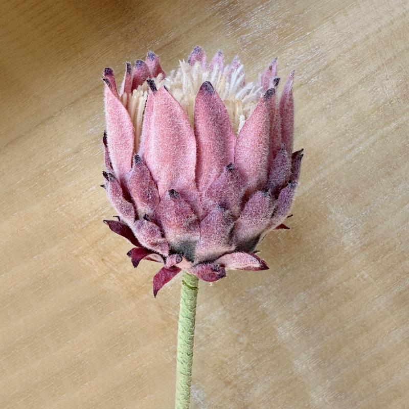 Nordic Thistle Artificial Flower: Home & Wedding Decoration, Photography Prop, King Protea Simulation