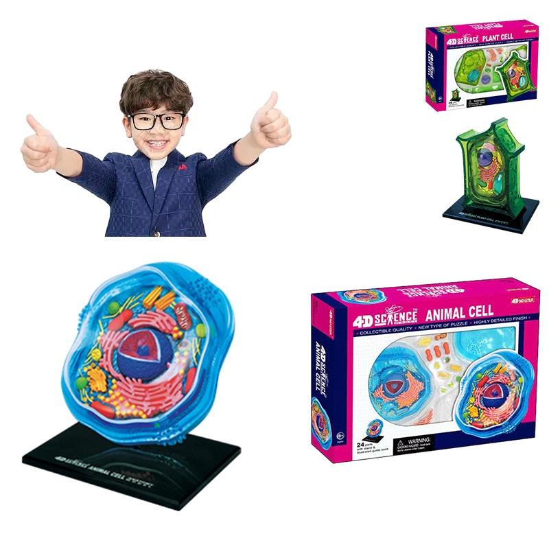 Educational Microscopic Structure Animal And Plant Cell Model 26 Parts Pvc Material School Teaching Display