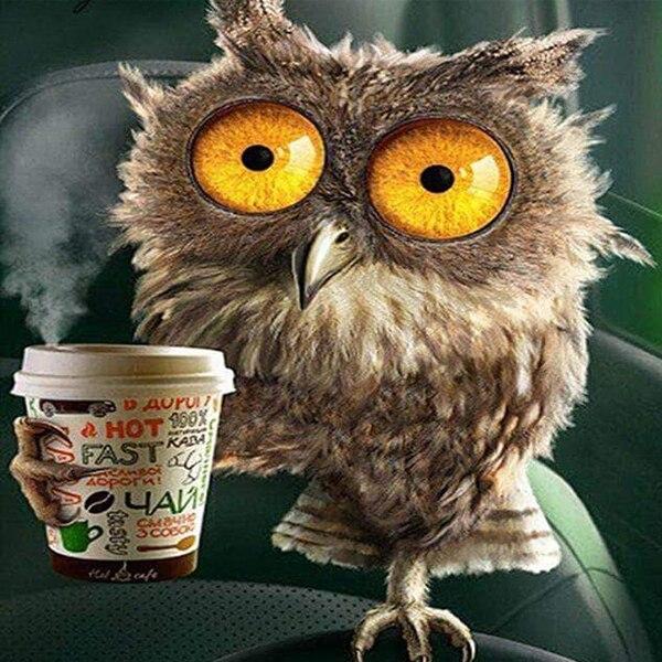 

Алмазная вышивка Подсолнухи Full Round 25x25CM разноцветный