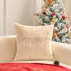 Modern Simple Christmas Embroidered Pillow Cover for Living Room Sofa