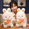 Cute Carrot Rabbit Doll Plush Toy Little White Rabbit Doll Girl Soothing Rag Doll Birthday Gift