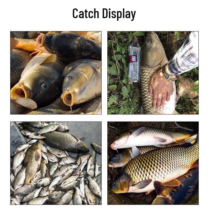 Duftende Wildfischköderpaste für Karauschen und Schnecken