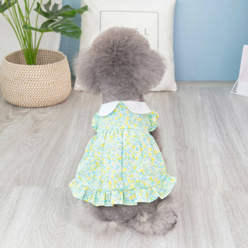 Flower Collar One Piece Puppy Summer Clothes Dress Frill