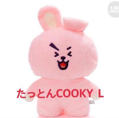 [GEBRAUCHT] BTS BT21 COOKY Tatton Plüschtier, Groß, Jungkook