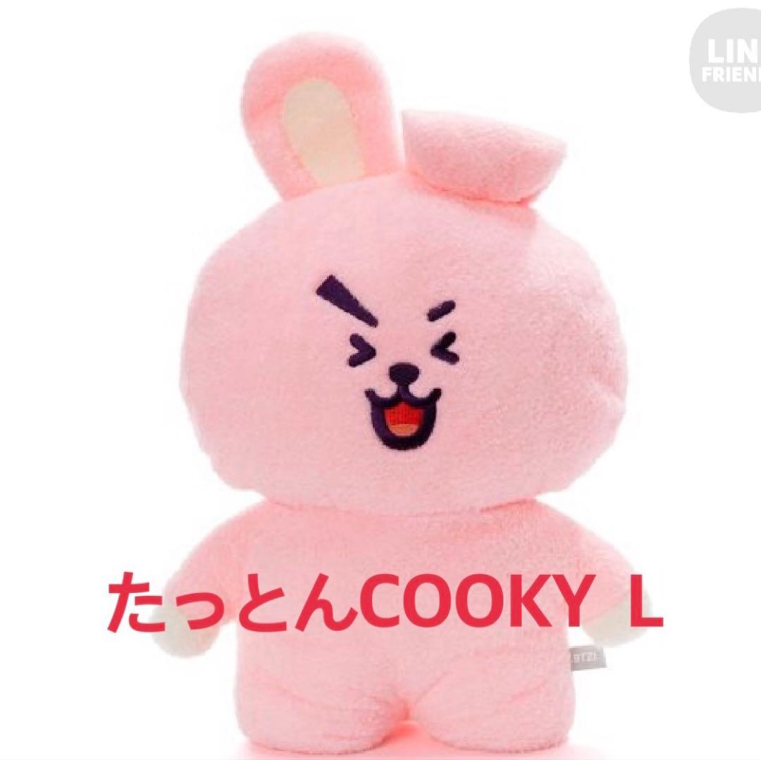 [USED] BTS BT21 COOKY Tatton Plush Toy, Large, Jungkook